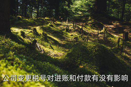 換稅號注意什么，公司變更稅號對進(jìn)賬和付款有沒有影響