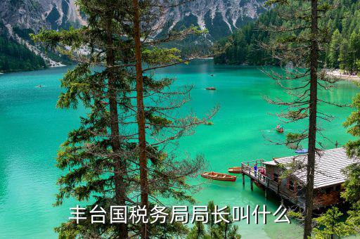 大廠國(guó)稅局局長(zhǎng)叫什么，豐臺(tái)國(guó)稅務(wù)局局長(zhǎng)叫什么