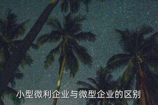 小型微利企業(yè)指的是什么，小型微利企業(yè)與微型企業(yè)的區(qū)別