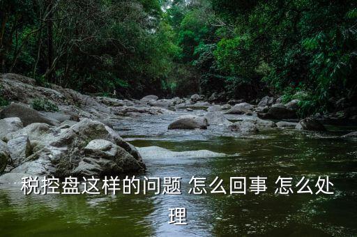 為什么稅控盤升級(jí)，稅控盤這樣的問(wèn)題 怎么回事 怎么處理