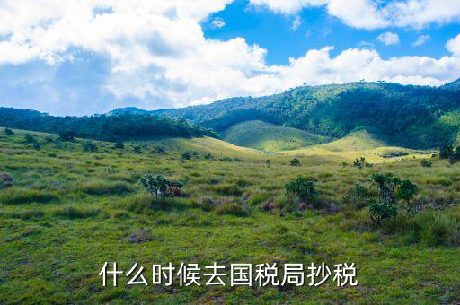 什么時(shí)候抄稅報(bào)稅，什么時(shí)候去國(guó)稅局抄稅