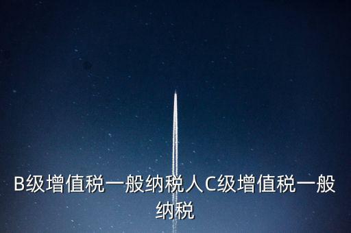 納稅用戶c級企業(yè)是什么意思，B級增值稅一般納稅人C級增值稅一般納稅