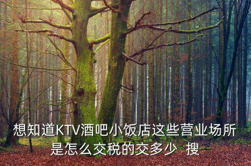 ktv交納什么稅，想知道KTV酒吧小飯店這些營(yíng)業(yè)場(chǎng)所是怎么交稅的交多少  搜