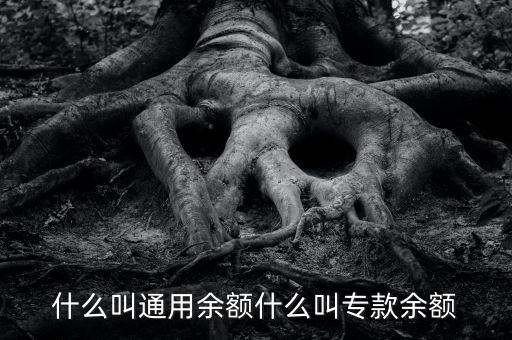 什么叫通用余額什么叫?？钣囝~