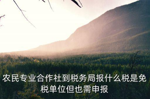 合作社應(yīng)報(bào)什么稅，農(nóng)民專業(yè)合作社是怎樣報(bào)稅的是企業(yè)還是個(gè)體戶