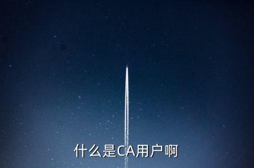 稅務(wù)總局ca系統(tǒng)是什么意思，Ca是什么