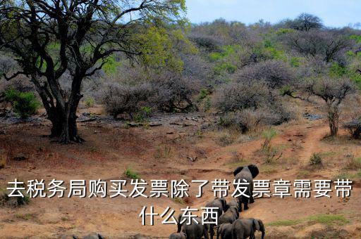 購(gòu)發(fā)票需要什么資料，個(gè)人購(gòu)物開增值稅普通發(fā)票需要什么資料