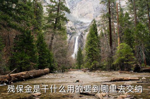 殘疾人保障金干什么用，殘疾就業(yè)保帳金是干什么的