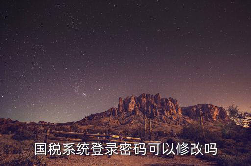 如何修改國(guó)稅申報(bào)登錄密碼是什么意思，國(guó)稅網(wǎng)上申報(bào)密碼忘記了怎么重設(shè)