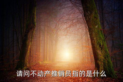 銷售不動(dòng)產(chǎn)指的是什么意思，什么是銷售不動(dòng)產(chǎn)