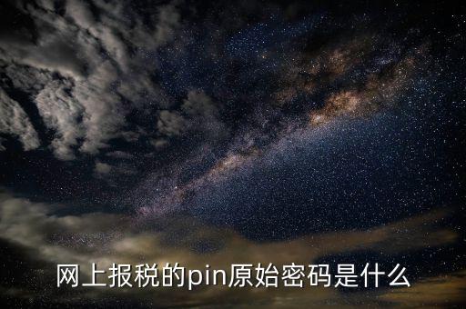 國(guó)稅什么叫pin碼，機(jī)構(gòu)代碼的ca證書(shū)的PIN碼是什么我用CA證書(shū)登陸國(guó)稅時(shí)提示詳細(xì)