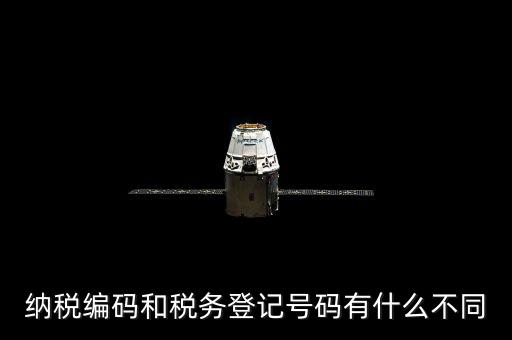 個人納稅編號是什么意思，納稅編碼和稅務(wù)登記號碼有什么不同