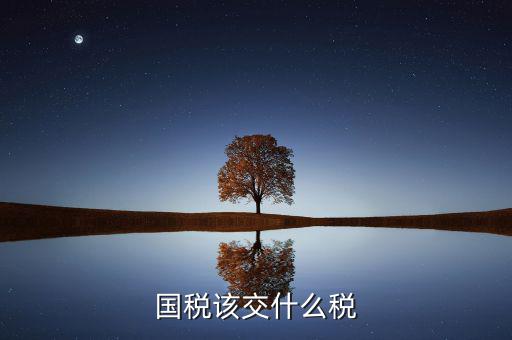 在國稅要繳納什么稅，國稅都交什么稅