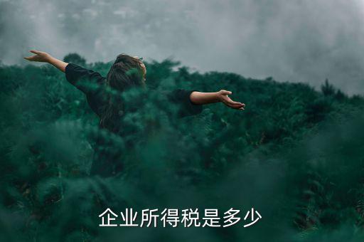 生產(chǎn)企業(yè)稅收標(biāo)準(zhǔn)是什么，企業(yè)所得稅是多少