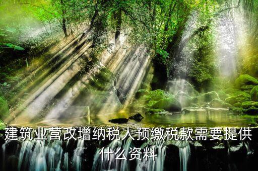 預(yù)繳增值稅要什么資料，在外地有個(gè)工程想用人工費(fèi)發(fā)票增值稅來(lái)抵預(yù)交稅款的增值稅需