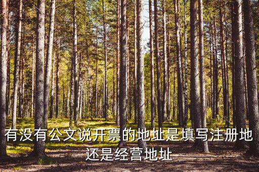 有沒有公文說開票的地址是填寫注冊地還是經營地址