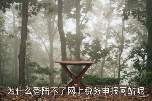 申報個稅登錄不上去是什么原因，為什么我的個人所得稅總是登不上去