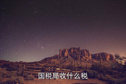 南寧國(guó)稅局收什么的稅，請(qǐng)教南寧國(guó)稅納稅具體多少以1000元收入為例