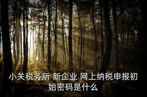 深圳國稅微信預約密碼是什么意思，小關稅務所 新企業(yè) 網上納稅申報初始密碼是什么