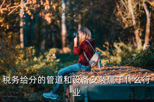 稅務給分的管道和設備安裝屬于什么行業(yè)