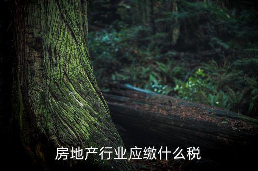 房地產(chǎn)企業(yè)要交什么稅，房地產(chǎn)行業(yè)應繳什么稅