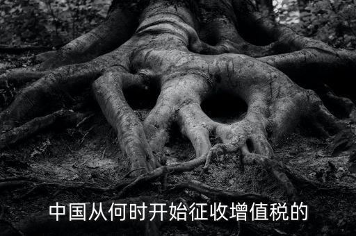 什么時候征收增值稅，批發(fā)零售業(yè)增值稅征收率什么時間開始為3