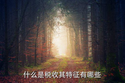 稅收的特點(diǎn)是什么意思，稅收的實(shí)質(zhì)和特征