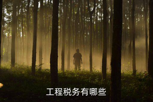 稅務(wù)三代項(xiàng)目是什么，通常說(shuō)的三稅是指什么啊