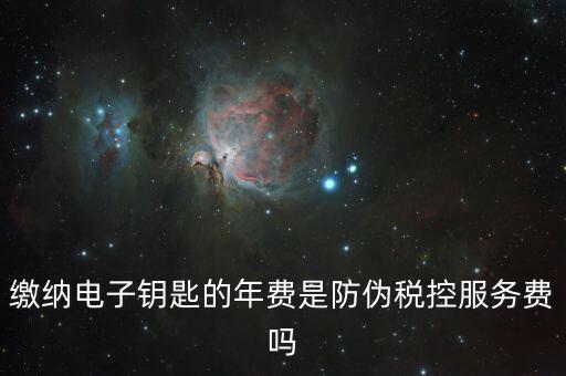 防偽稅控服務費是什么，關于防偽稅控服務費