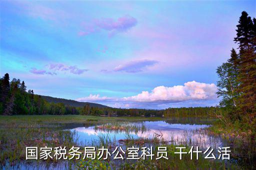 國(guó)稅行政辦公室干什么，國(guó)稅局辦公室怎么樣