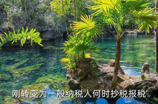 什么時候抄報稅，什么時候去國稅局抄稅