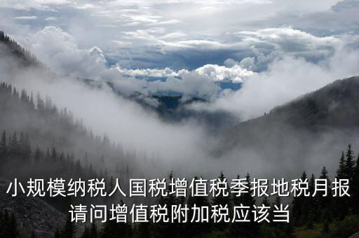 小規(guī)模納稅人國稅增值稅季報(bào)地稅月報(bào)請(qǐng)問增值稅附加稅應(yīng)該當(dāng)