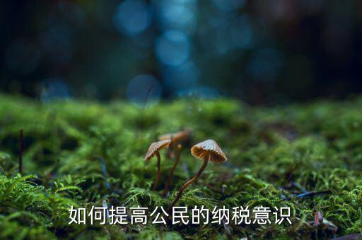 什么是納稅漫畫宣傳，魁拔第一部的投入官方說(shuō)是3500萬(wàn)一部動(dòng)漫為什么投資那么大都花