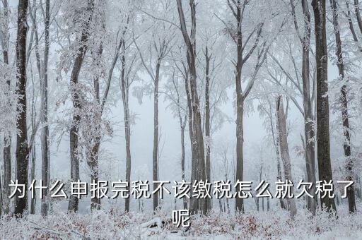 為什么國(guó)稅欠稅不催繳，因稅務(wù)機(jī)關(guān)原因未能及時(shí)繳納稅款是否屬于欠稅