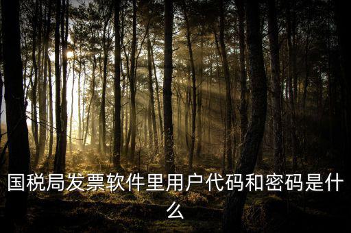 國(guó)稅局發(fā)票軟件里用戶(hù)代碼和密碼是什么