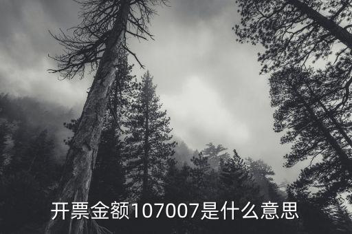 開票金額是什么意思，增值稅專用發(fā)票的各項金額分別是什么含義