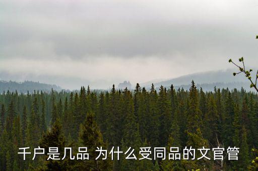 什么千戶集團，千戶是什么意思