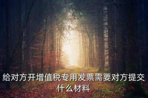 開專票要什么資料，加油卡開增值稅專用發(fā)票需要什么資料