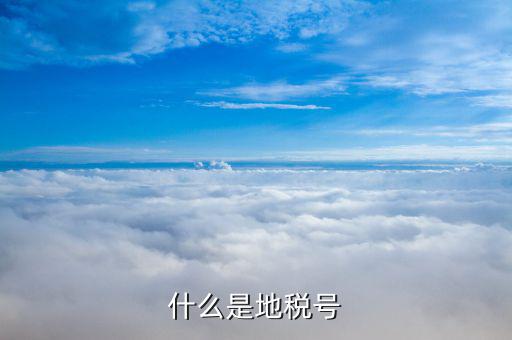 稅務賬號是什么，什么是地稅號