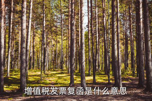 發(fā)票發(fā)函是什么意思，增值稅發(fā)票復(fù)函是什么意思