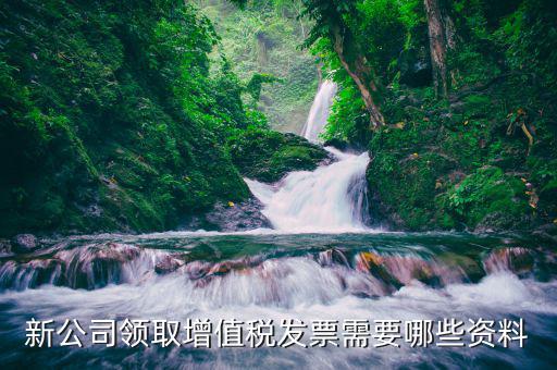 領發(fā)票需要什么，去稅務局領發(fā)票需要帶什么資料去