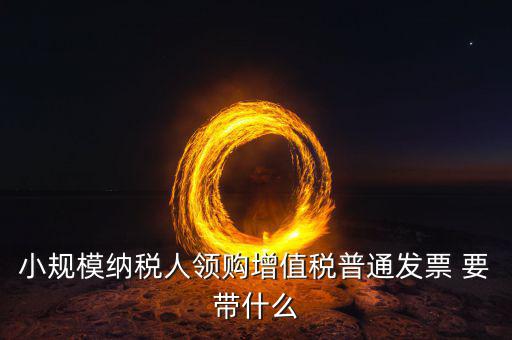 申領(lǐng)普通發(fā)票需要什么，小規(guī)模納稅人領(lǐng)購(gòu)增值稅普通發(fā)票 要帶什么