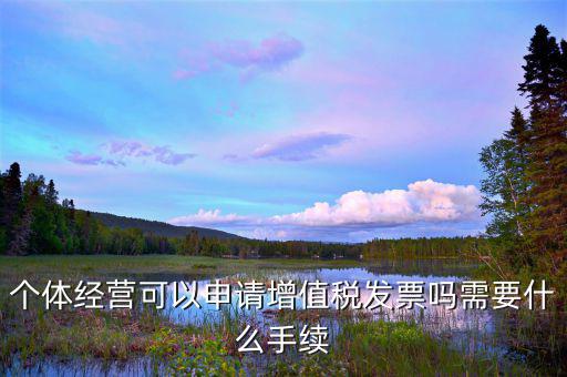 個體打印發(fā)票需要什么資料，開個人增值稅發(fā)票需要什么資料