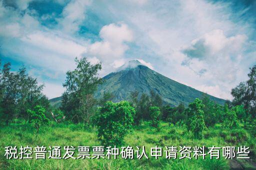 票種核定申請(qǐng)交什么資料，發(fā)票票種核定調(diào)整被拒需要提供什么資料