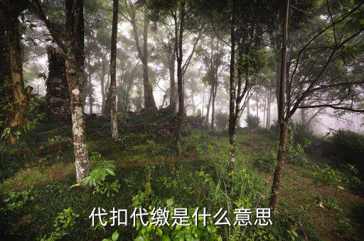稅務(wù)代收什么意思，代扣代繳是什么意思