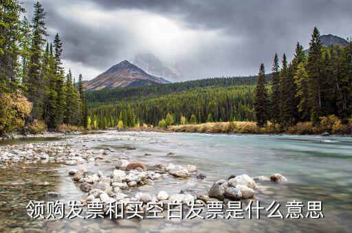 領(lǐng)取空白發(fā)票需要什么用，領(lǐng)用增值稅發(fā)票的時候內(nèi)開的空白發(fā)票要帶嗎