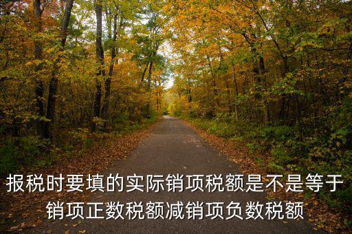 報(bào)稅時(shí)要填的實(shí)際銷(xiāo)項(xiàng)稅額是不是等于銷(xiāo)項(xiàng)正數(shù)稅額減銷(xiāo)項(xiàng)負(fù)數(shù)稅額