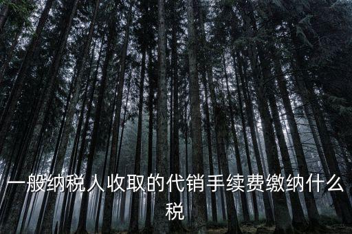 代理服務(wù)費(fèi)交什么稅，一般納稅人收取的代銷手續(xù)費(fèi)繳納什么稅