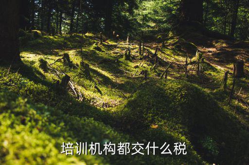 2017培訓(xùn)機(jī)構(gòu)交什么稅，培訓(xùn)機(jī)構(gòu)需要交稅的種類(lèi)有多少
