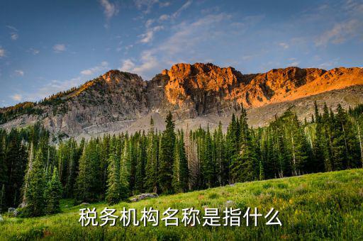 國稅局全稱是什么，深圳龍華國稅的全稱是什么謝謝